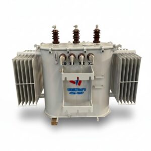Transformador a Óleo Trifásico 300KVA - 13.8KV A 11.4KV - 380/220V